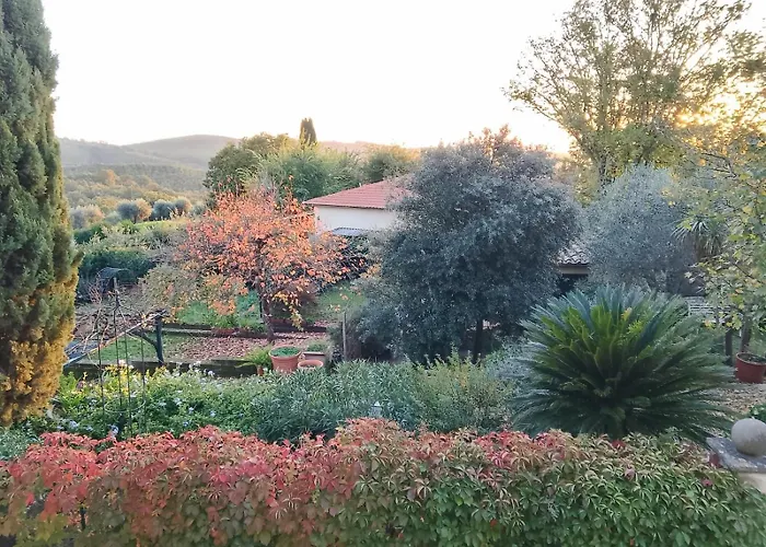 Giuma Tuscany Historic With Roof Terrace Near Saturnia Hot Springs * Montemerano